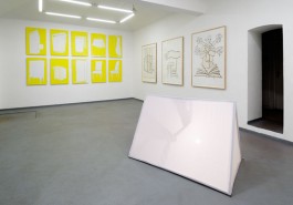 Lena Knilli